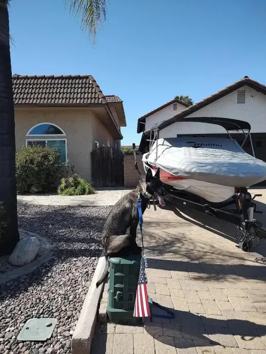 A boat on a trailer in a driveway. A flag and a box are in front of it. Blue sky and houses in the background.