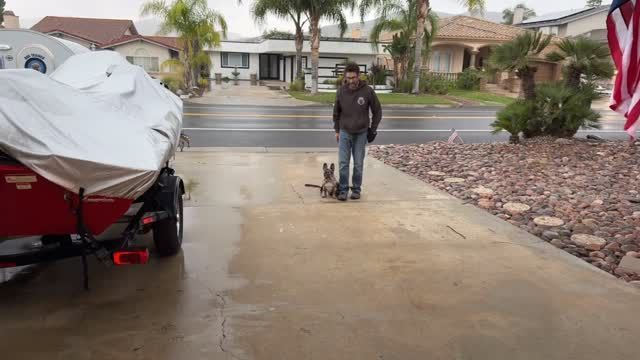 Man training a dog on a wet driveway. Boat covered with tarp to the left; houses in the background.