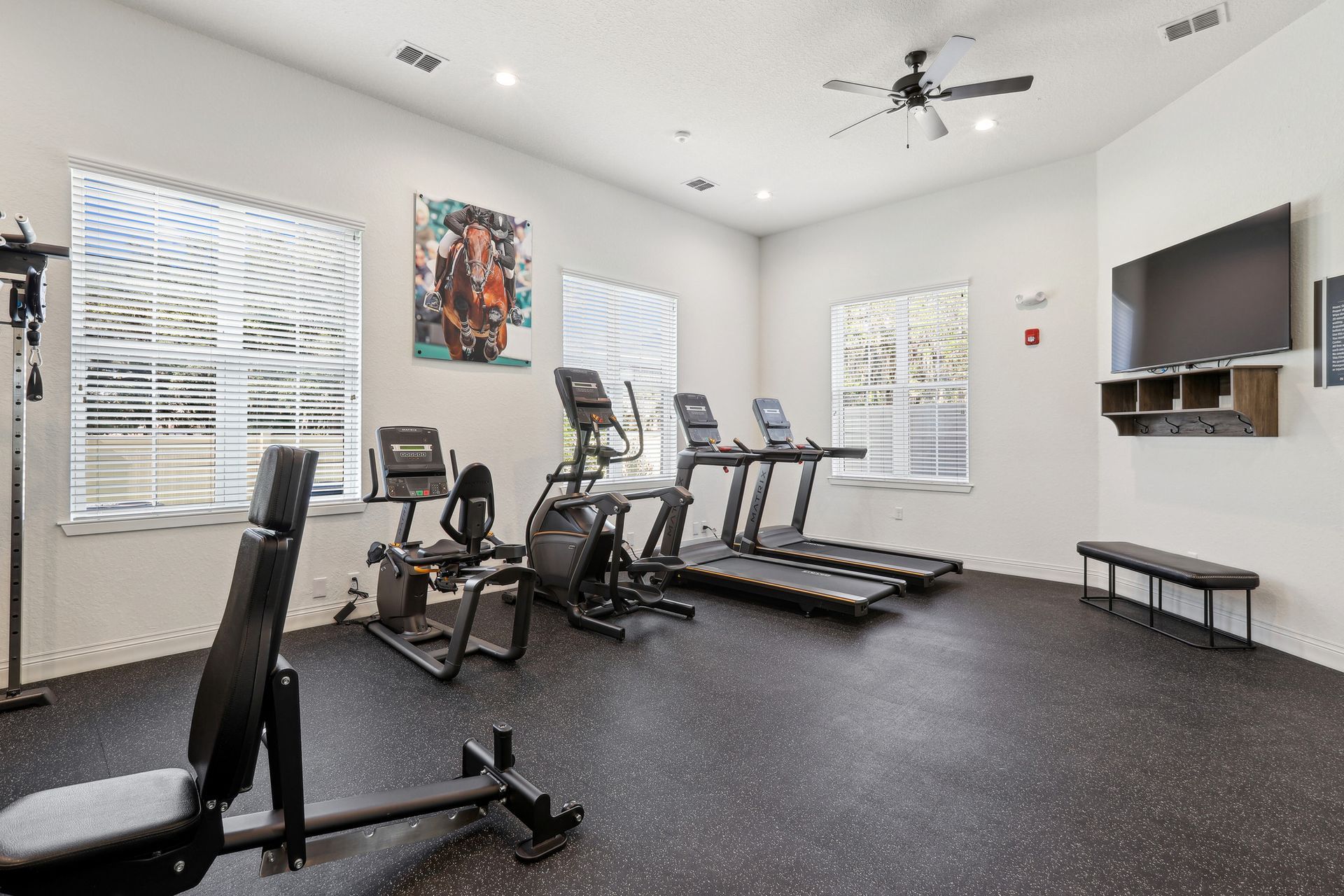 Gym with exercise equipment, windows, and a TV.