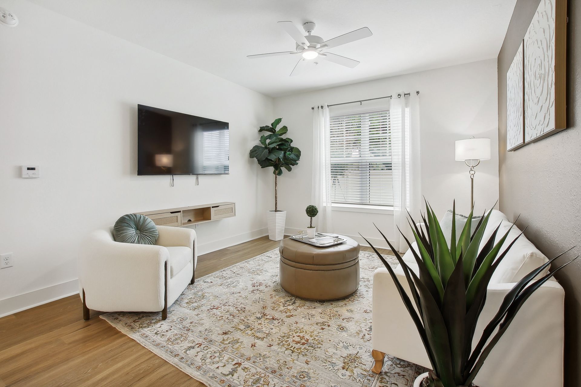 Cozy living room with white walls, furniture, rug, and houseplants. A TV hangs on the wall.