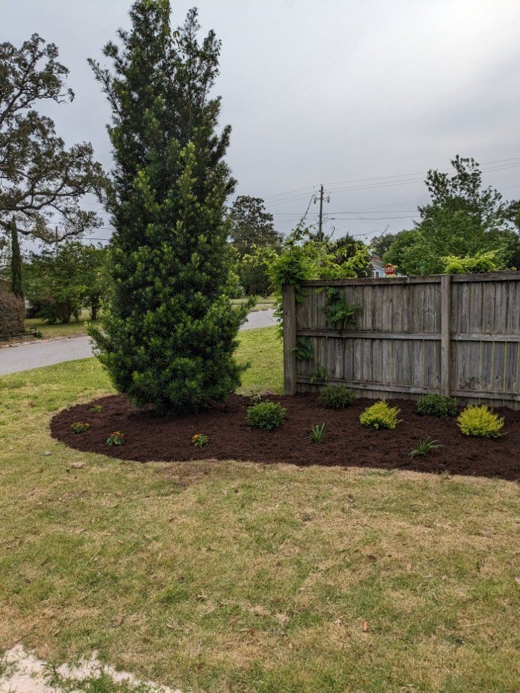 Landscaped yard with a tall evergreen, mulch bed, small shrubs, and a wooden fence by a road