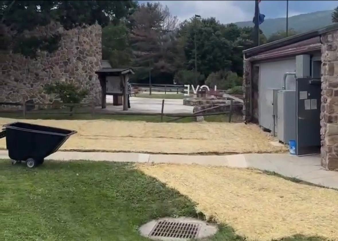 A landscape view shows a black wheelbarrow on grass near an area covered in yellow straw, with stone walls and a building.