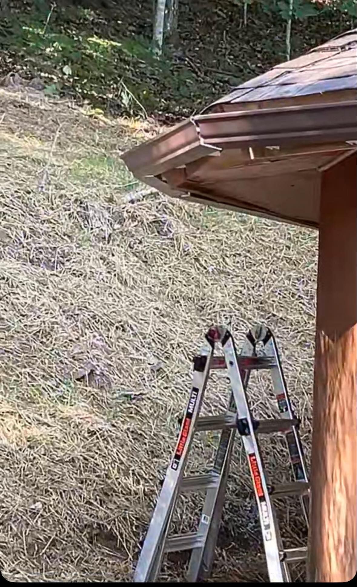 An A-frame ladder stands on a grassy slope beneath the edge of a roof with a brown gutter.