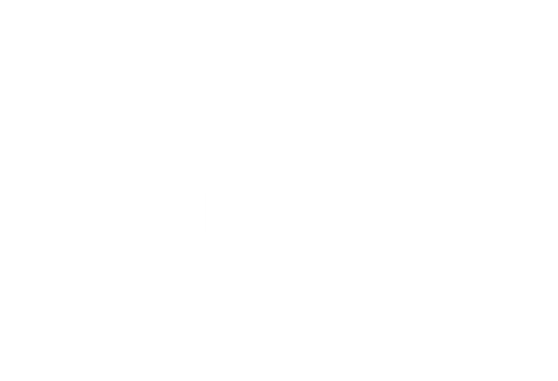 Lyall Pro Services Logo