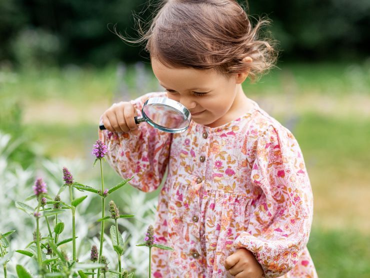 Childcare Encourages Curiosity and Creativity in Children