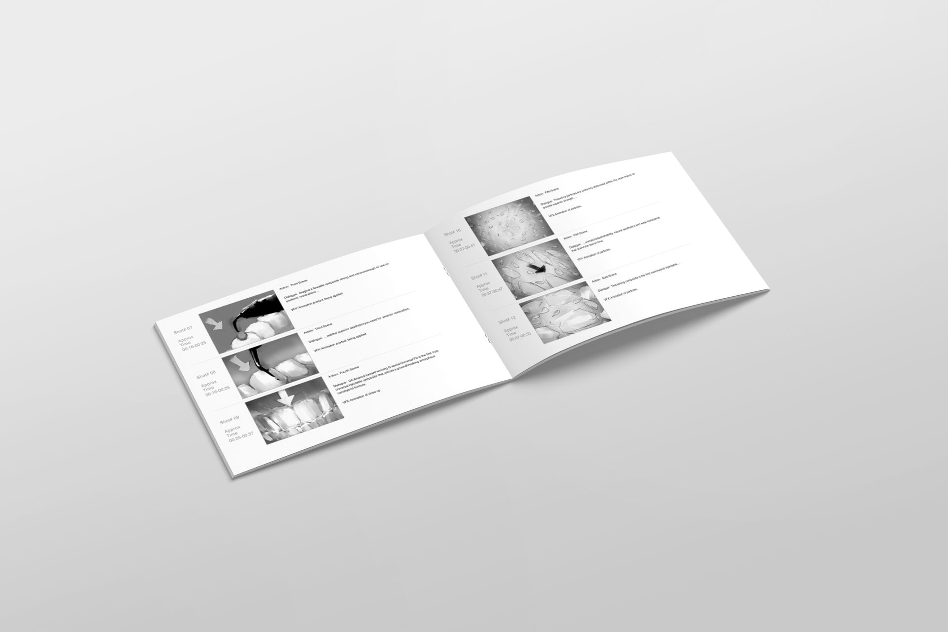 Open booklet, showing pages with black and white photos and text on a gray background.
