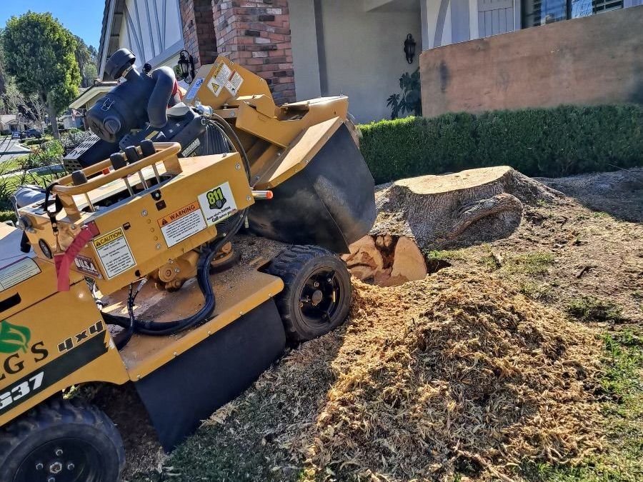 Reg's Tree Service Stump Removal Service