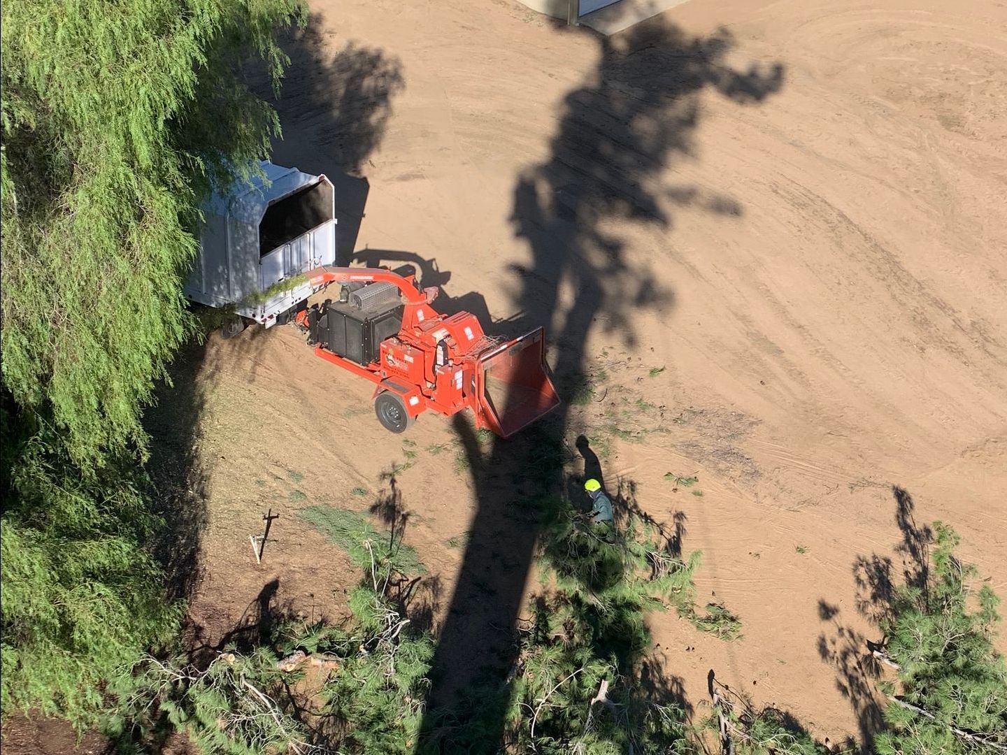 Reg's Tree Service Land Clearing Service