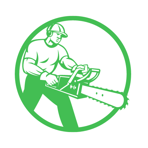 Professional Tree Removal Services near Corona, CA