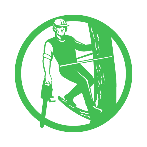 Trustworthy and Reliable Tree Services near Corona, CA