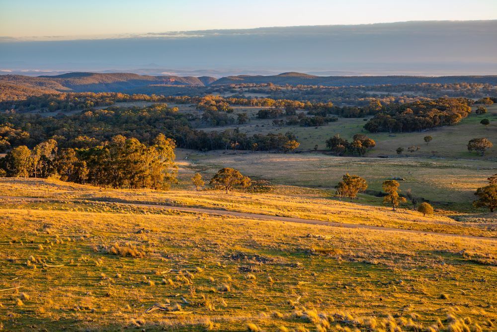 A View of a Grassy Hillside With Trees and a Body of Water in the Distance — Wallamore Grading & Packaging In Barraba, NSW