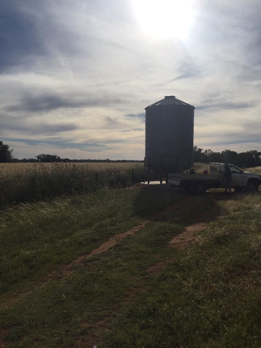 A Truck is Parked in a Field With a Silo in the Background — Wallamore Grading & Packaging In Quirindi, NSW