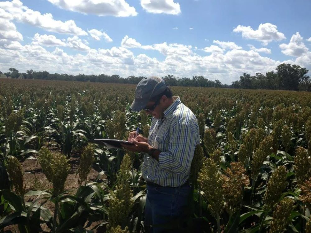 A Man Standing in a Field Looking at a Tablet — Wallamore Grading & Packaging In Wallamore, NSW