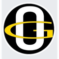 OTTICA GUERINI DI GUERINI SERGIO logo