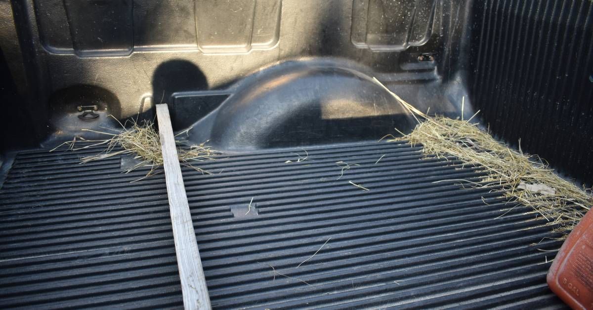 A black truck bed is mostly empty except for two small piles of hay, a slim piece of wood, and a red container.