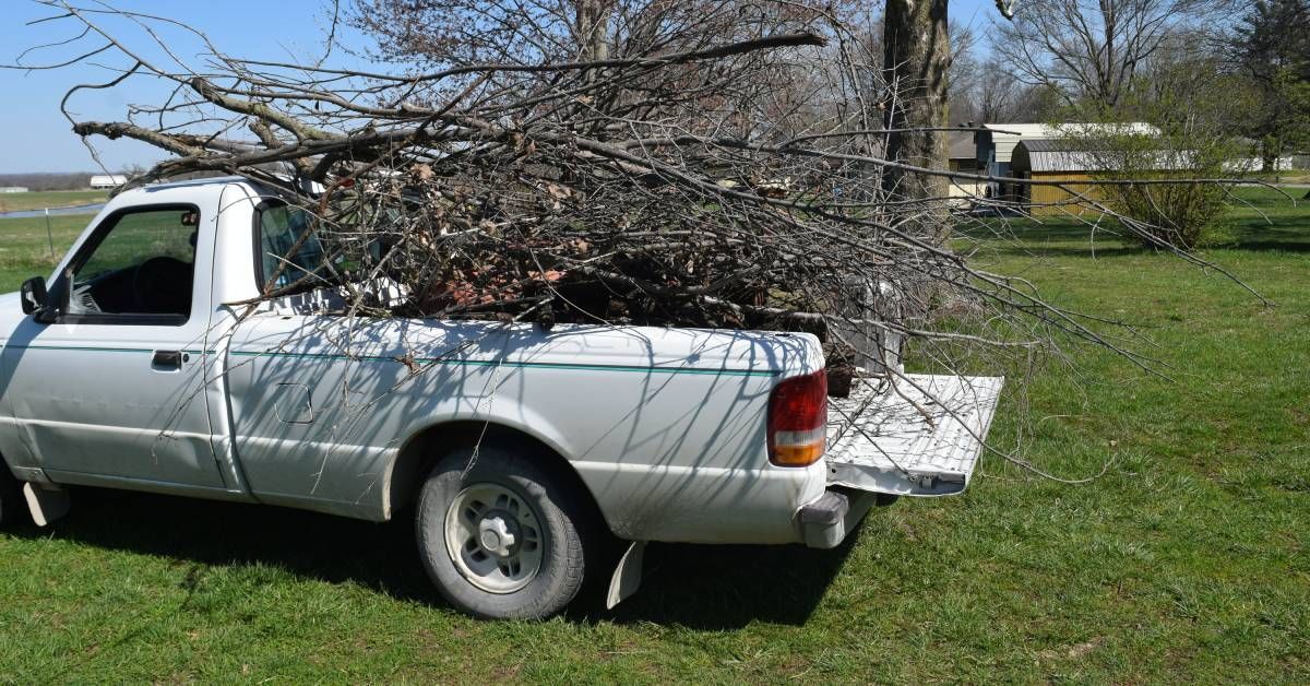 A white pickup truck is parked in a yard and the truck bed is holding a massive pile of tree branches.