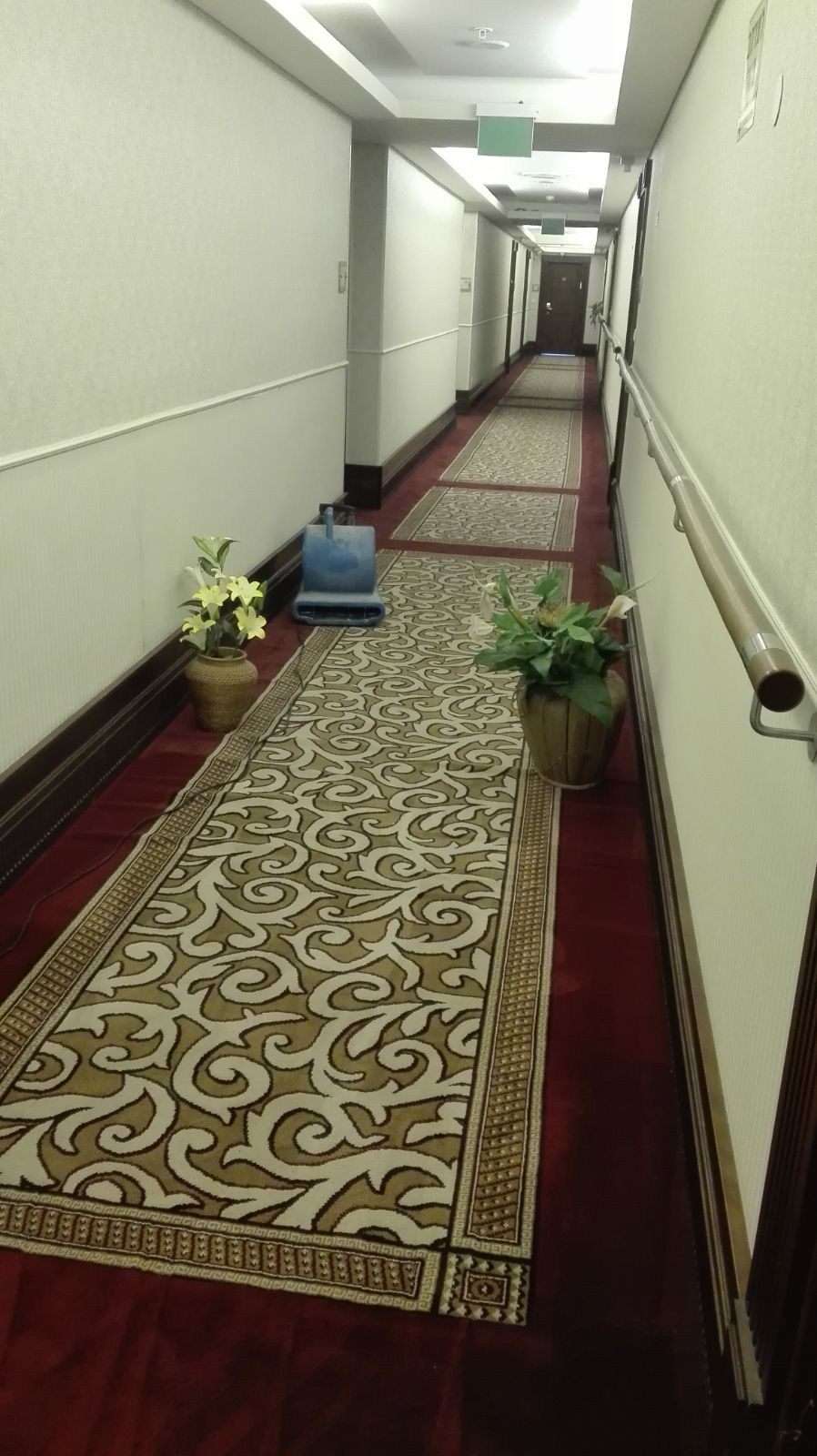 ניקוי עמוק לשטיח בבית מלון