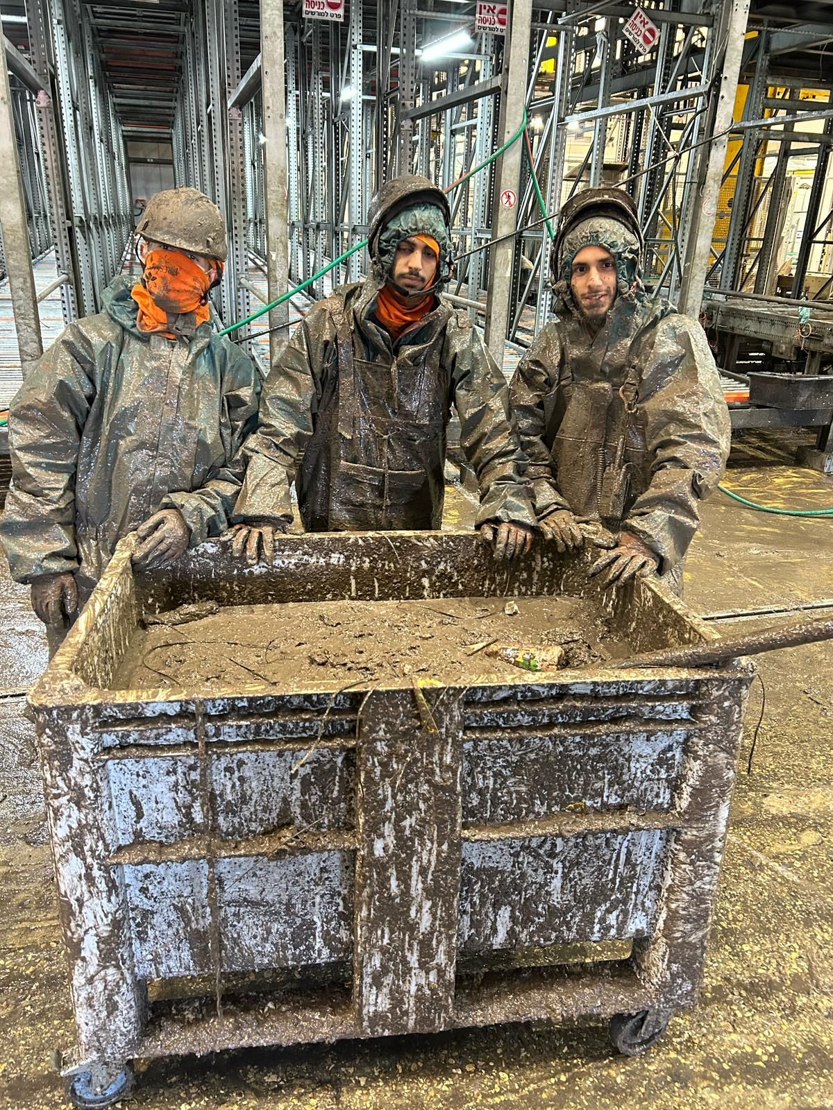 הצוות של פרש בניקוי מרלו