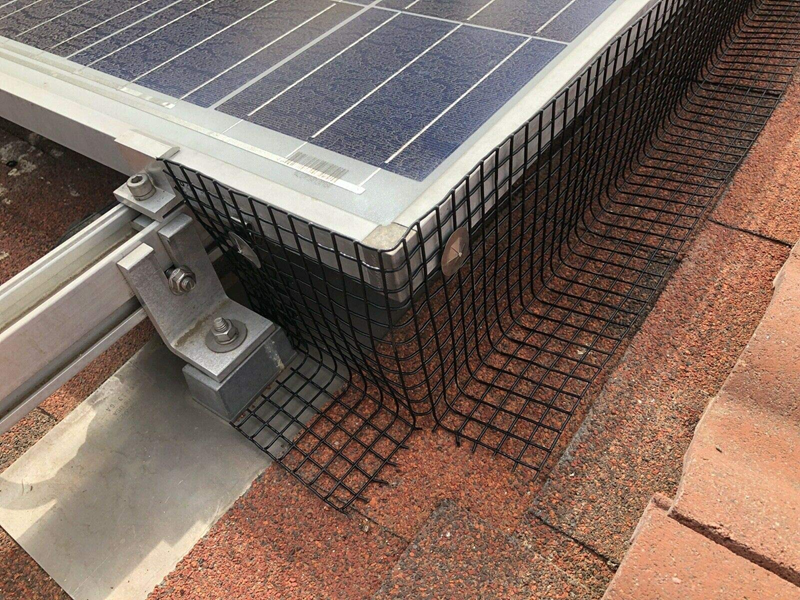 Solar panel corner with black mesh bird deterrent attached to roof.