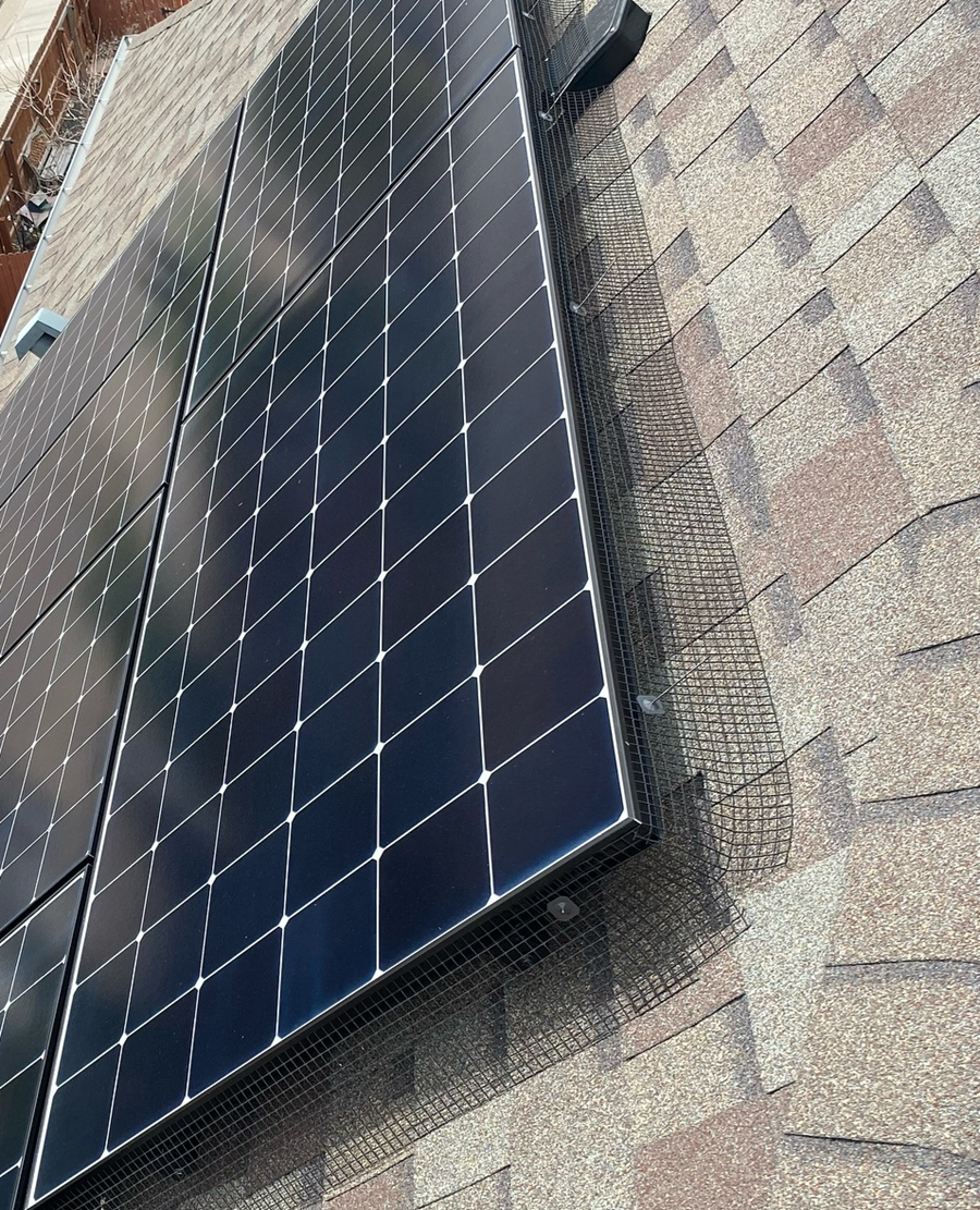 Solar panels on a brown shingle roof, angled, with protective mesh along the edges.