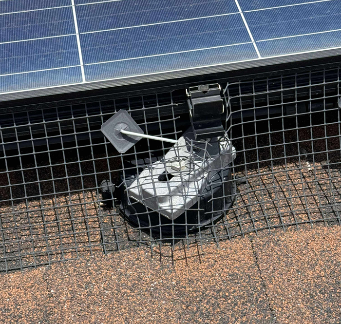 Solar panel with black wire mesh guard and mounting bracket on a brown shingle roof.