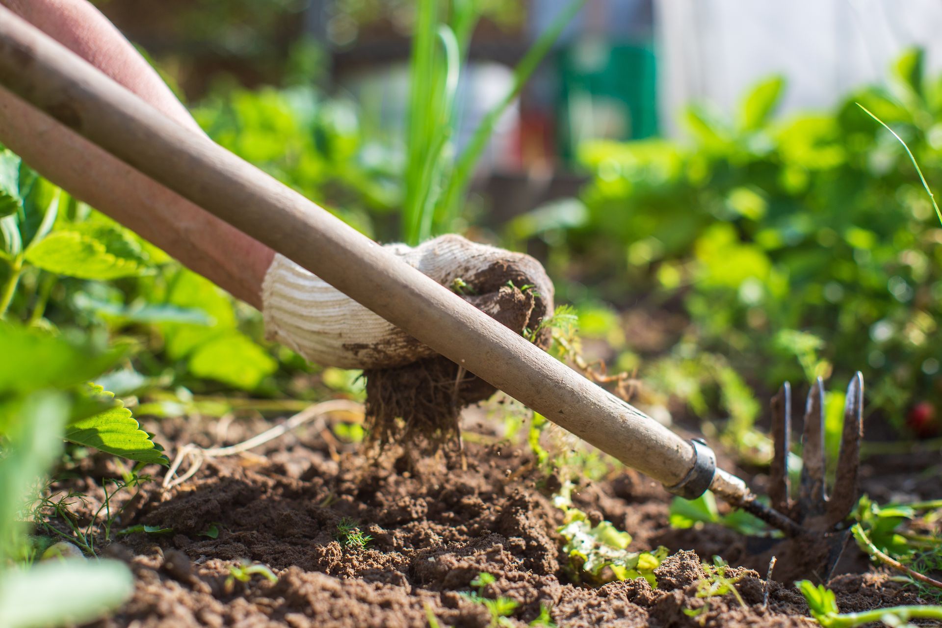Person wearing gardening gloves using a hoe to work the soil in a garden.