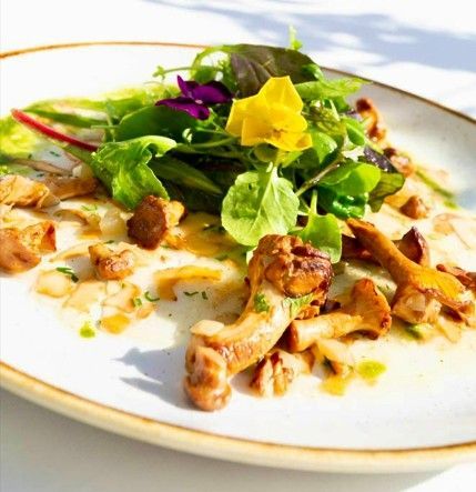 summerdishes zurich chanterelles zurichberg menue summer restaurant terracce