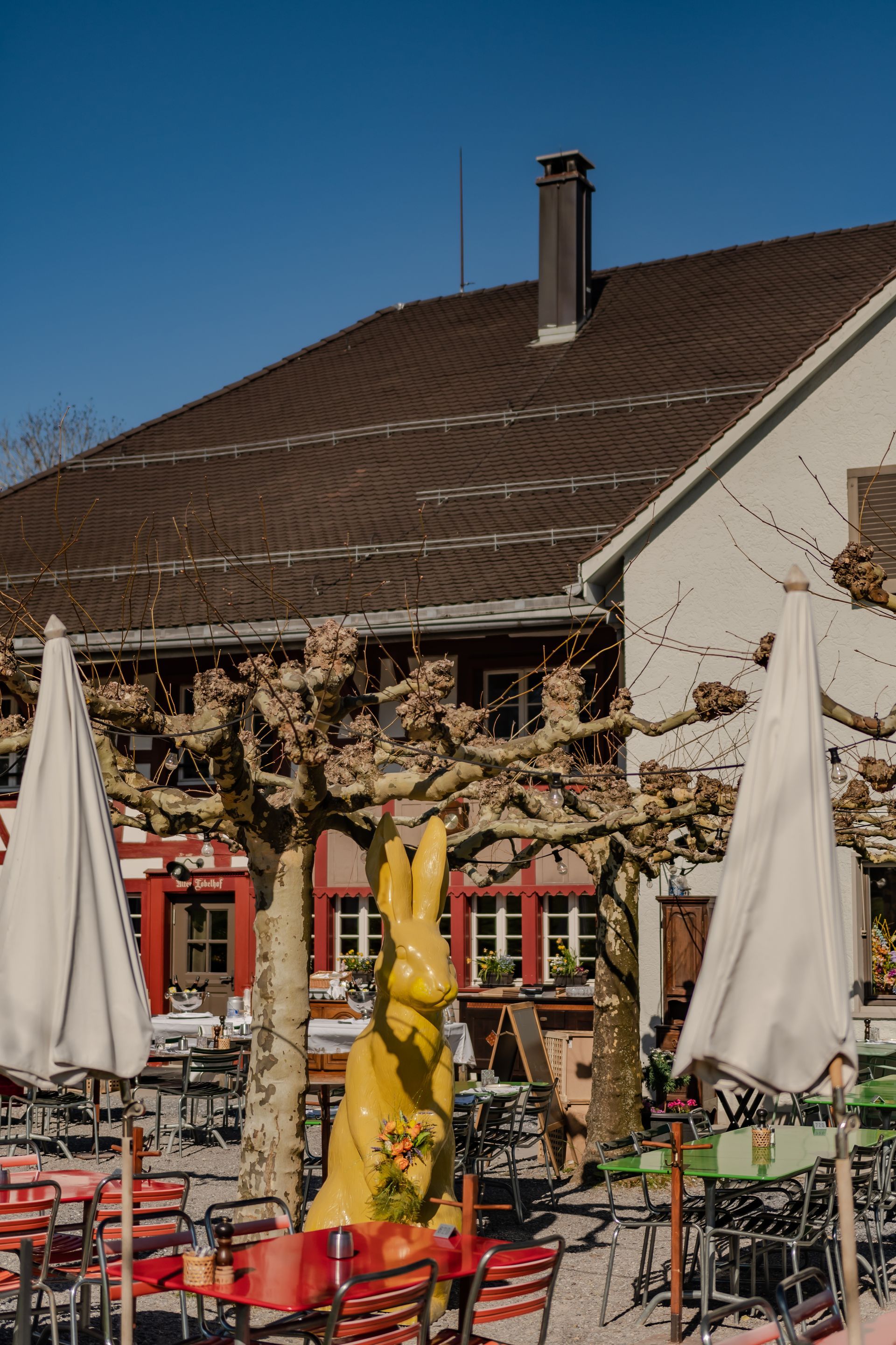 Winter seasonal christmas xmas fondue raclette cheese