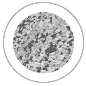 Circular close-up of a speckled, gray and white surface, likely a textured material or pattern.