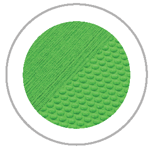 Green circle with two textures: diagonal lines and rounded scales, within a gray circle.