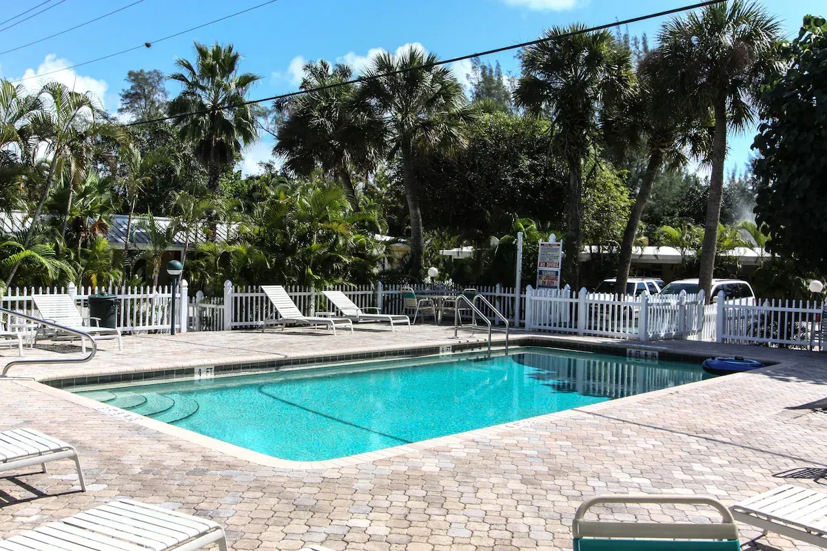 A large swimming pool surrounded by chairs and palm trees