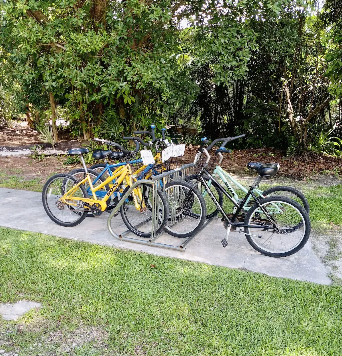 A row of bicycles are parked on a bike rack in a park.