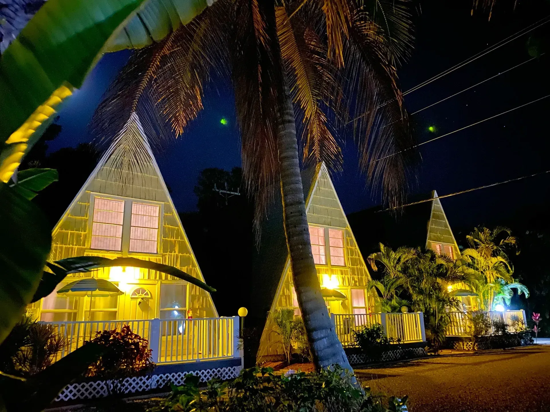 A row of houses are lit up at night with palm trees in the foreground