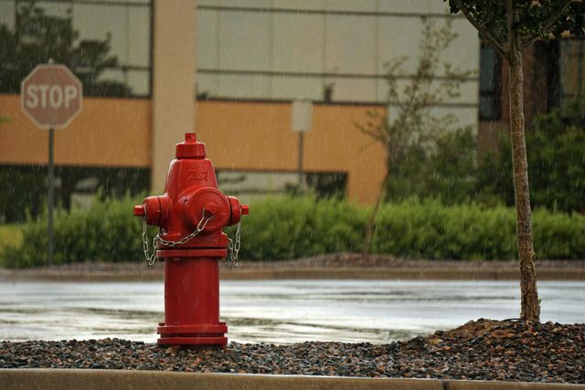 Red fire hydrant in the rain next to a tree and a stop sign, with a modern building in the background.