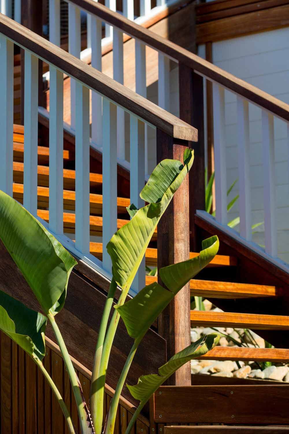 A Wooden Staircase With a Plant in the Foreground — DeBu Studios In Russell Vale, NSW