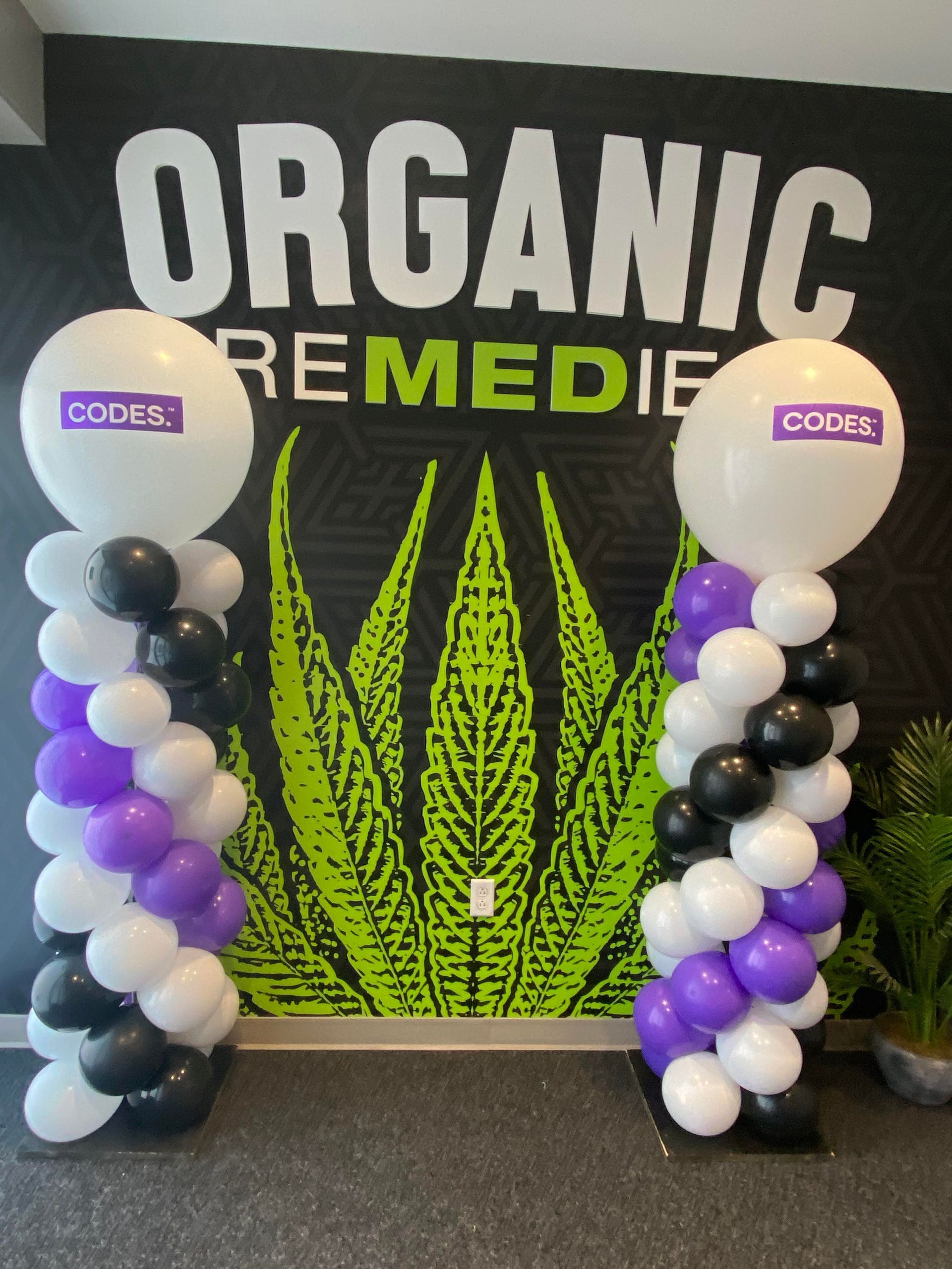 Two columns of balloons in front of a wall that says organic remedies