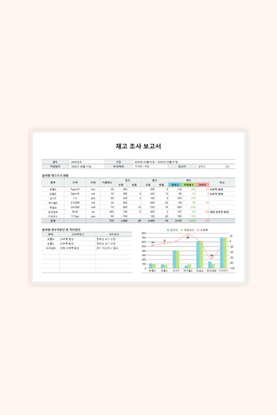 재고 조사 보고서