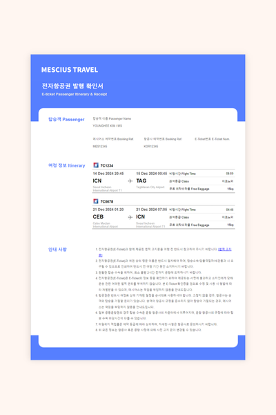 전자항공권 발행 확인서