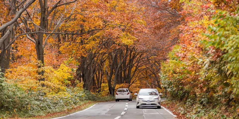 A Cars In The Middle Of The Forest — Clarksville, AR — Phil Taylor Insurance Agency, Inc.