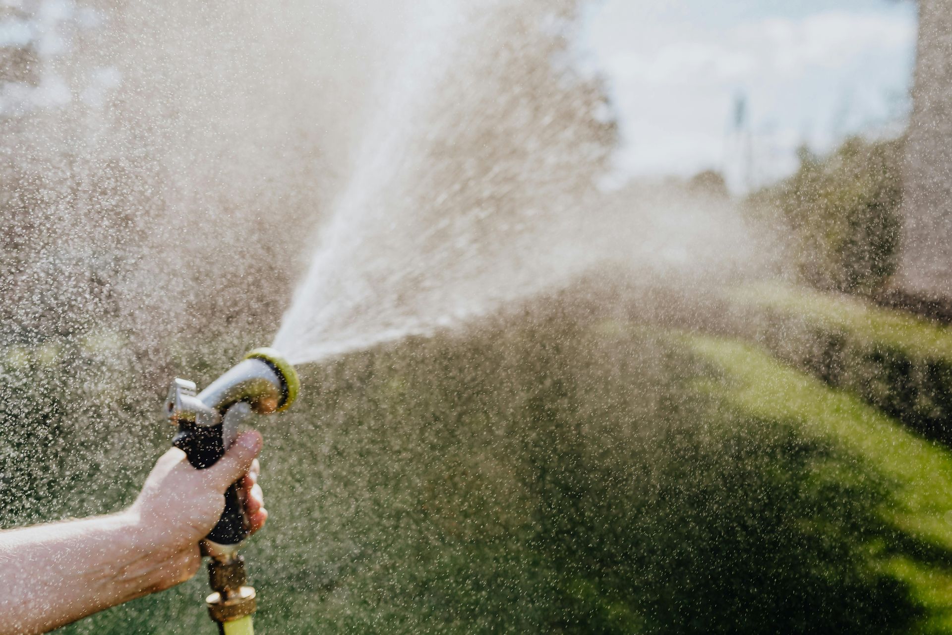 A person is spraying water from a hose in a garden.