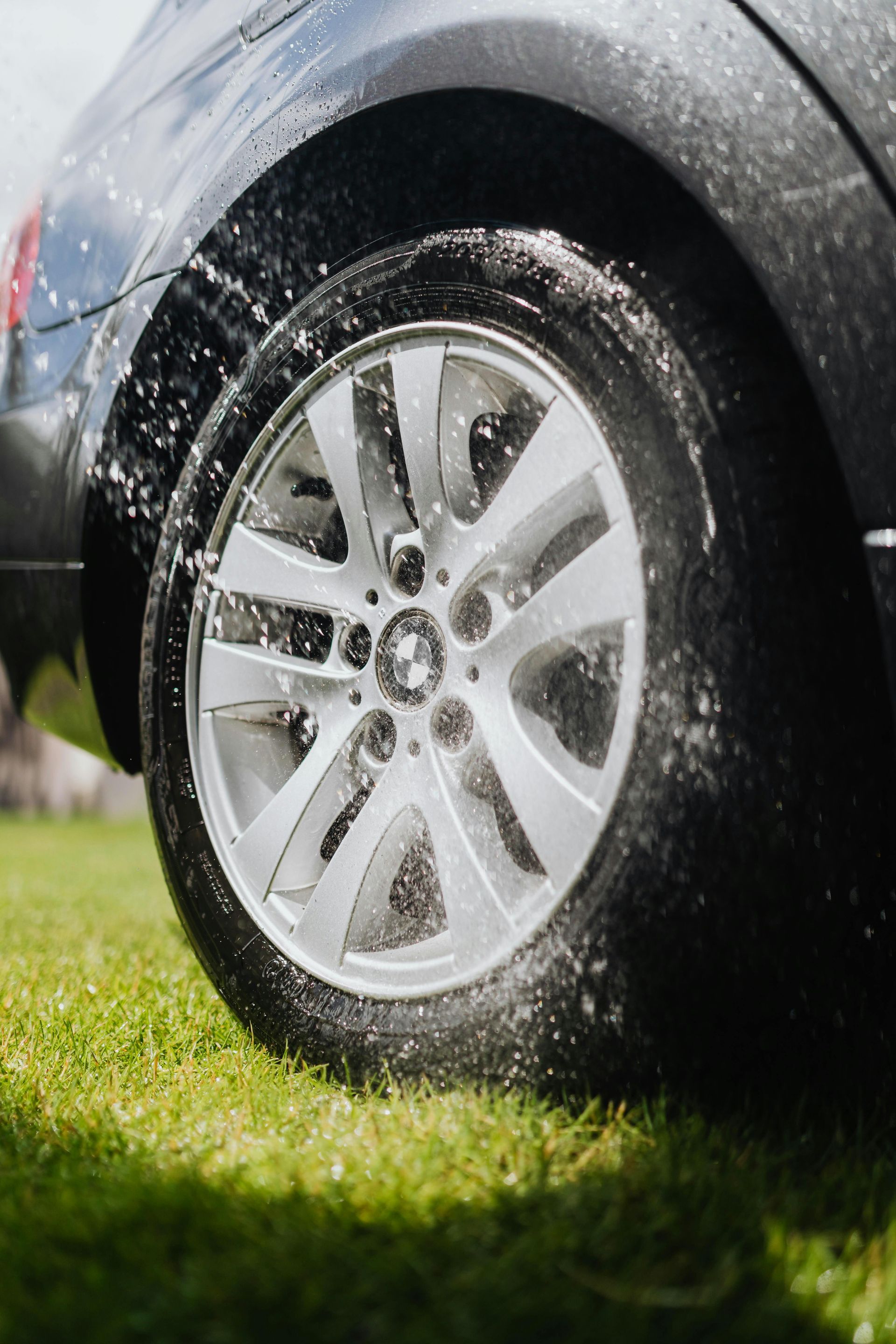 A close up of a car tire on a lush green field.