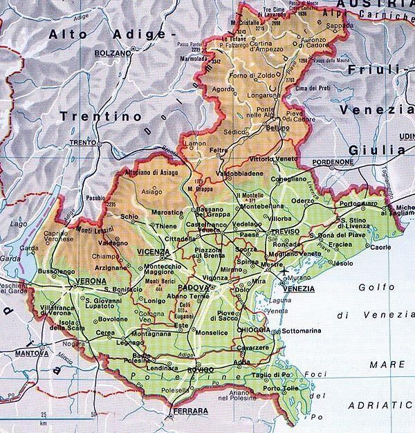 CENTRI REUMATOLOGIA VENETO, image size:600x626