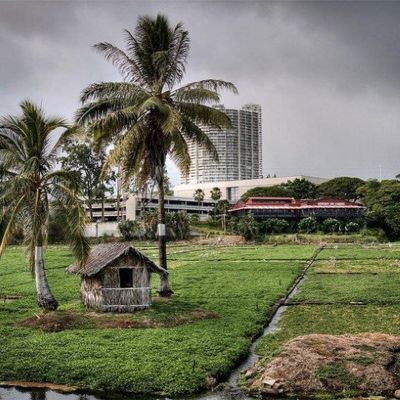 ZIGU Japanese Restaurant u0026 Sake Bar Honolulu, HI