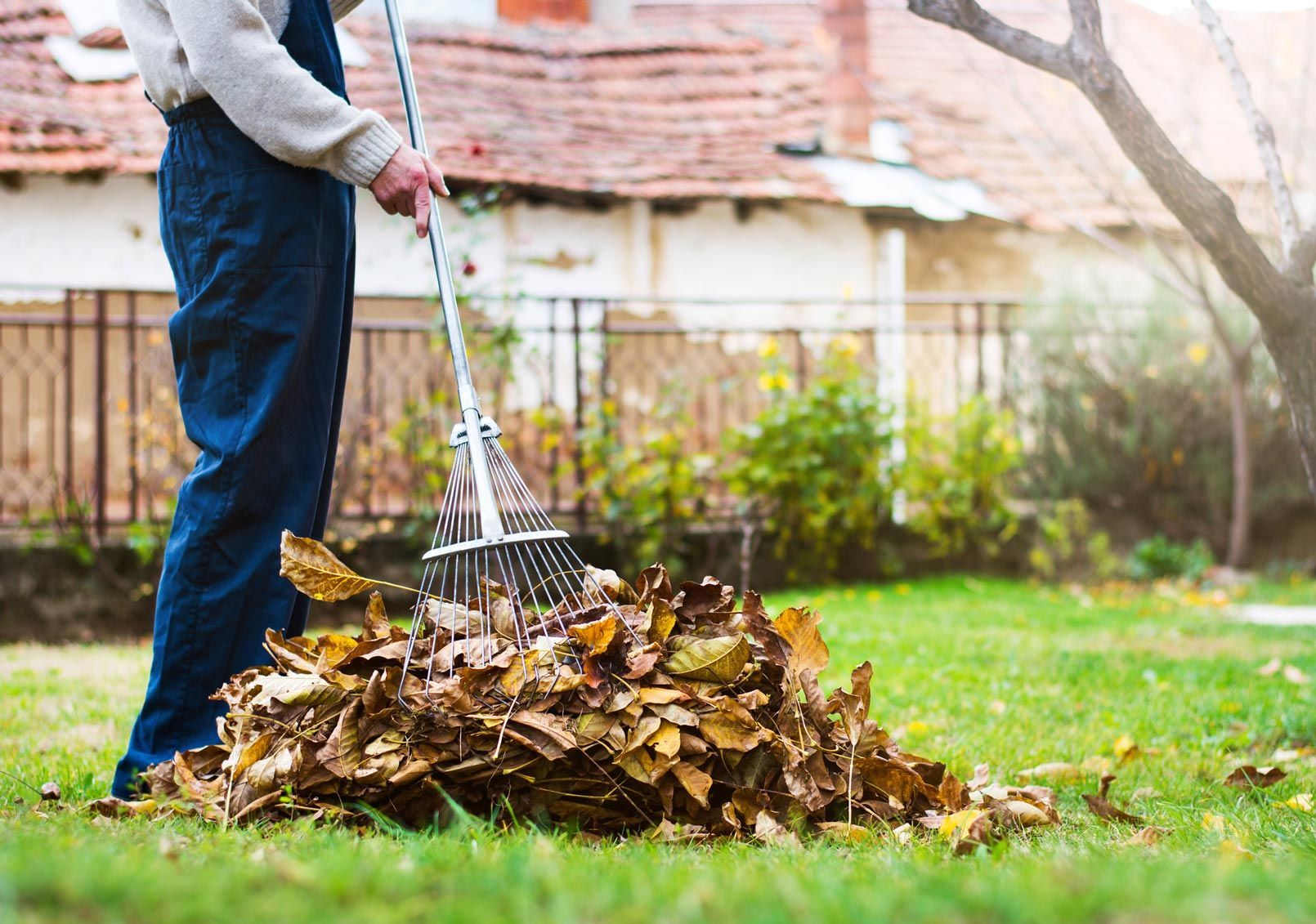 Fall Clean-Up — Belleville, IL — WD Lawn Care