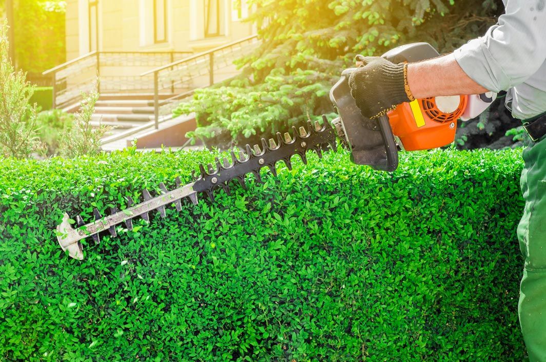 Hedge Trimming — Belleville, IL — WD Lawn Care