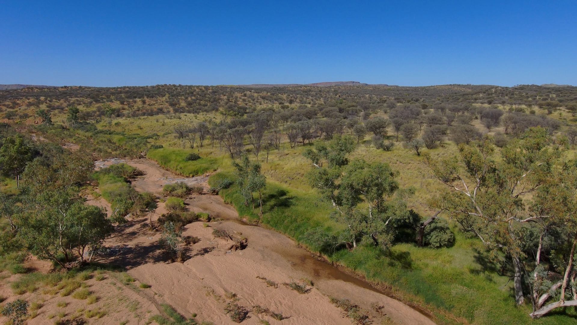 An aerial view of a river running through a lush green field.