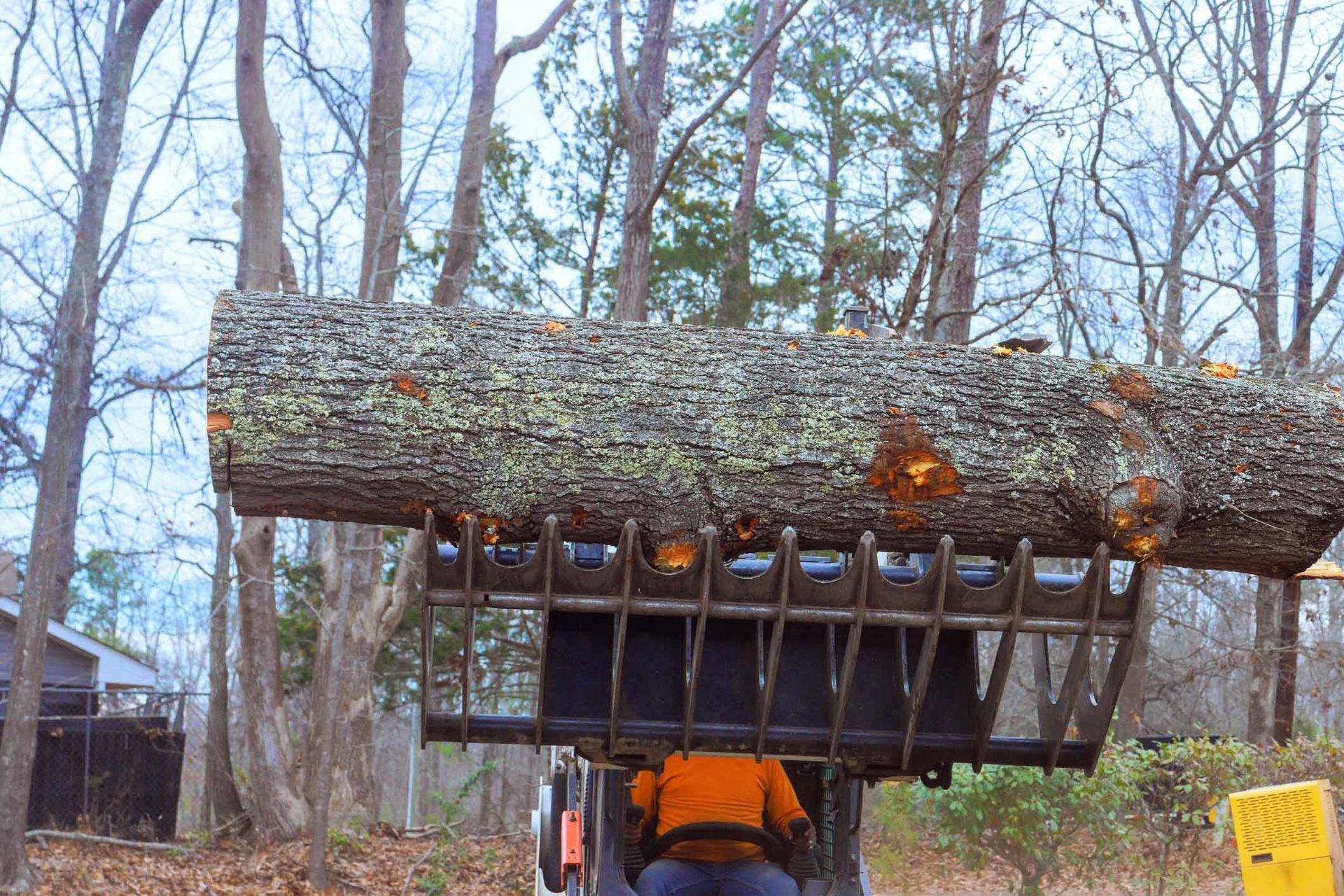 A worker in orange jacket uses a loader with grapple to lift a large tree trunk.