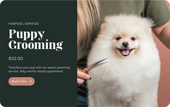 A woman is grooming a small white dog with scissors.