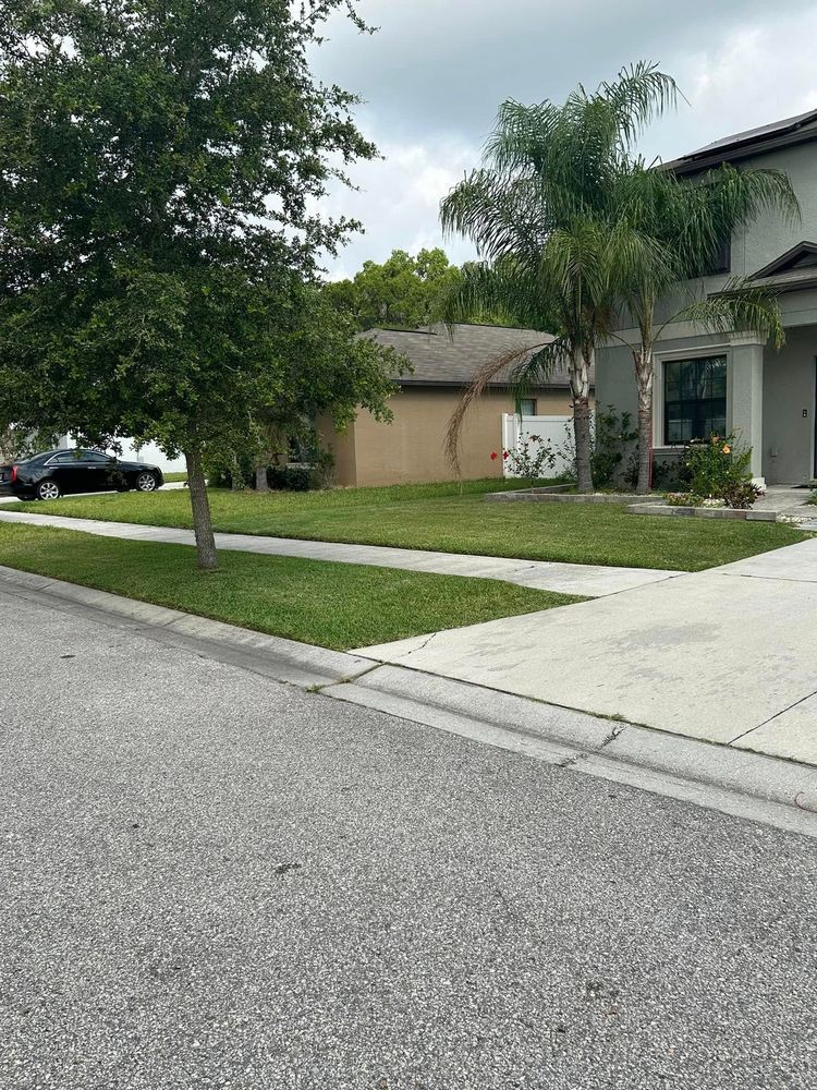 A residential street with a house and a well-maintained lawn. 