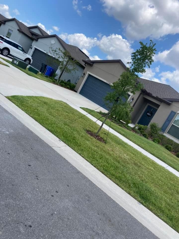 Houses with blue garage doors and brown roofs, set on a sunny street with green grass.